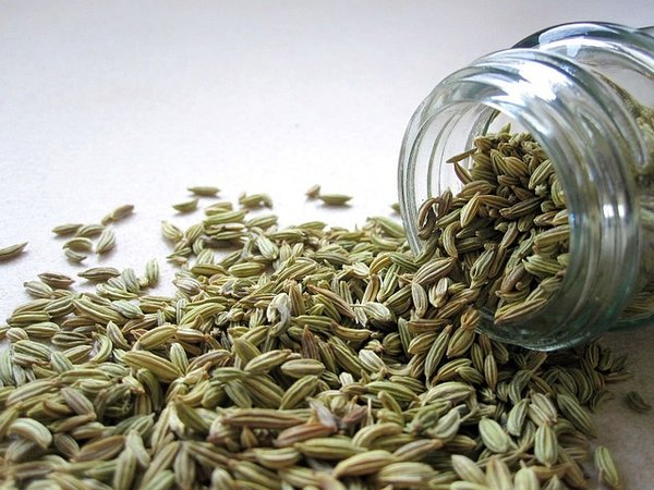 Quelles sont les vertus des graines de fenouil ?